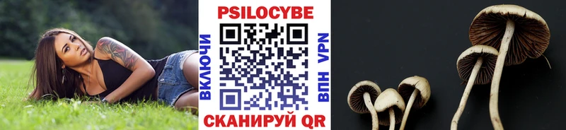 Псилоцибиновые грибы Psilocybine cubensis  Северская 