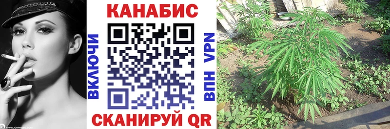 Бошки Шишки LSD WEED  купить закладку  Северская 